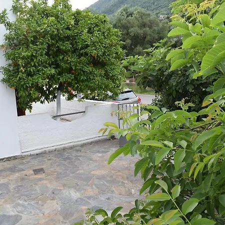 Apartament Gorgona & Ipsos